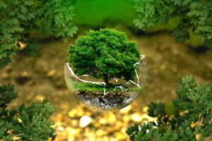 métiers environnement