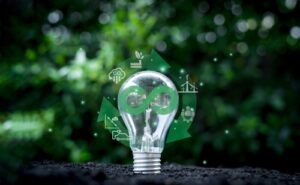 management de transition